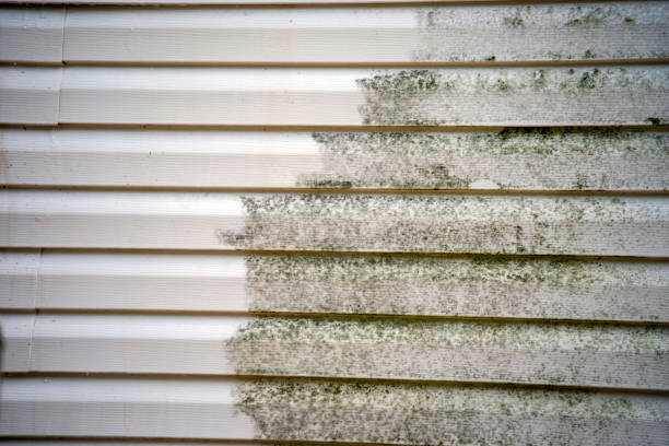 Best Basement Cleanout  in Pembroke Park, FL